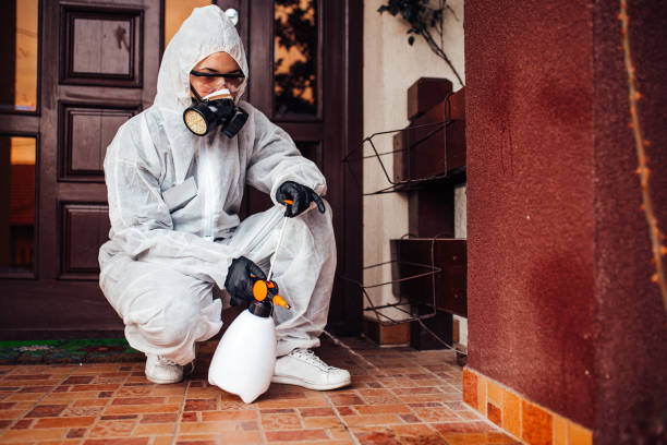 Reliable Wasp Removal contractor in Collinsburg, PA by Show Me Pest Control